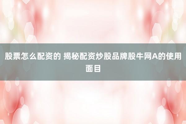 股票怎么配资的 揭秘配资炒股品牌股牛网A的使用面目
