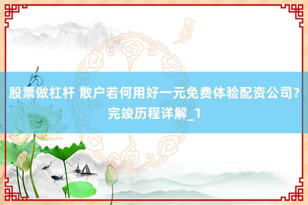 股票做杠杆 散户若何用好一元免费体验配资公司？完竣历程详解_1